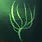 Seaweed